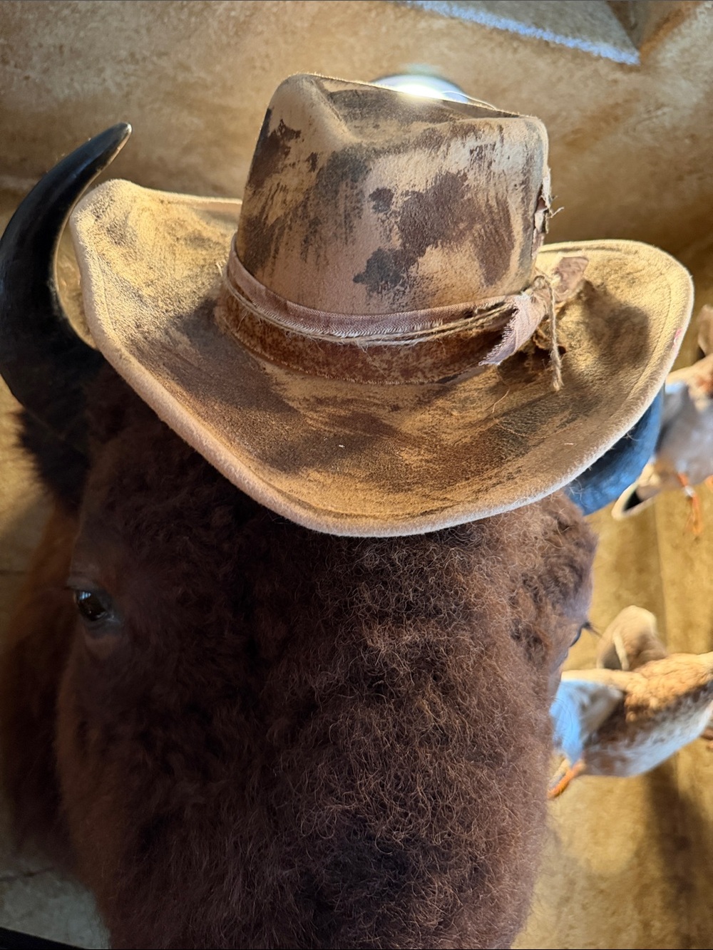Distressed Brown Cowboy Hat - adjustable band crush/bend/shape NWT - women/men